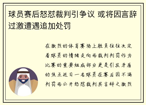 球员赛后怒怼裁判引争议 或将因言辞过激遭遇追加处罚